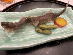 LINE_ALBUM_20250822納涼例会_250825_23