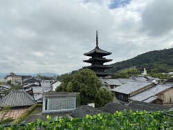 S__101449746_0